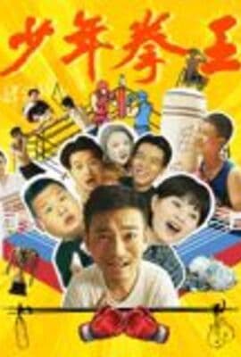 少年拳王