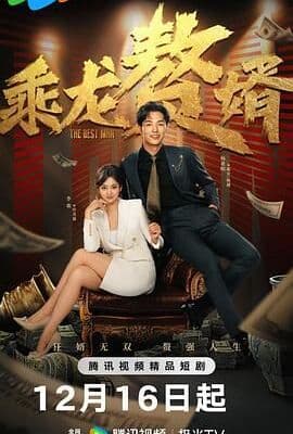乘龙赘婿