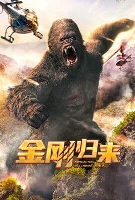 金刚归来