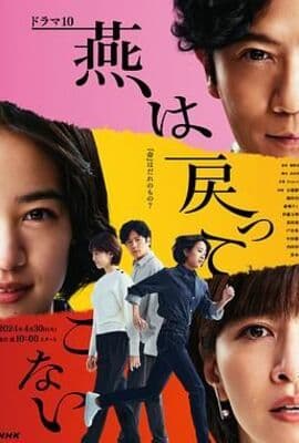 燕子不再归来