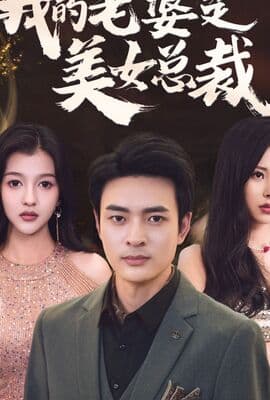 我的老婆是美女总裁