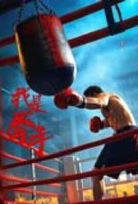 我是拳手