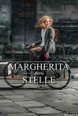 Margherita delle stelle