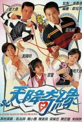 天降奇缘