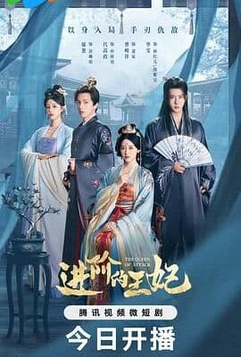 进阶的王妃