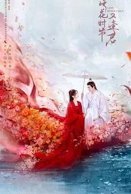 落花时节又逢君2025