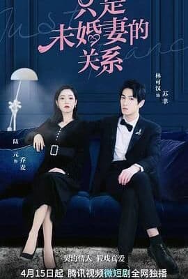 只是未婚妻的关系