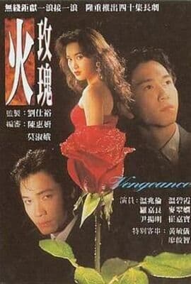 火玫瑰-普通话版