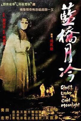 蓝桥月冷
