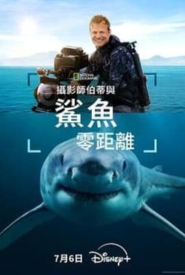 摄影师贝尔蒂与鲨鱼零距离