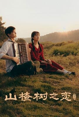 山楂树之恋