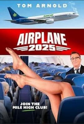 飞机2025