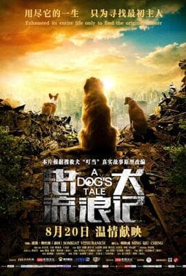 忠犬流浪记