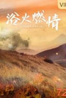 浴火燃情