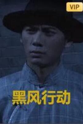 黑风计划