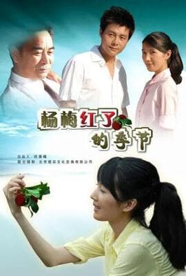 杨梅红了的季节